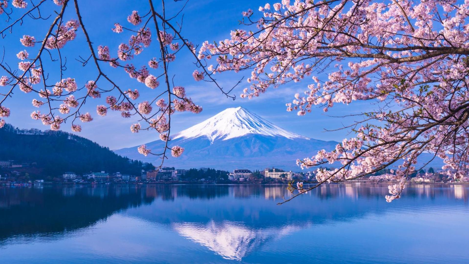 Mt Fuji Glamping Tourist Villa Kawaguchiko Фудзі-Каваґутіко Екстер'єр фото