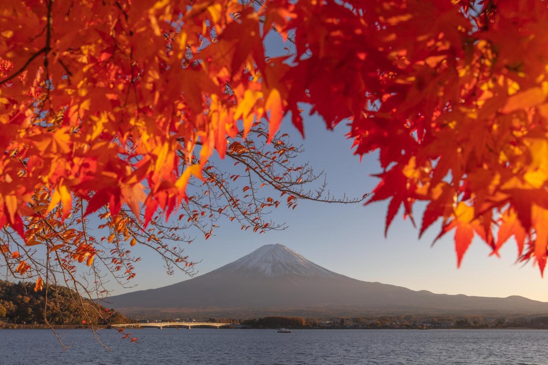 Mt Fuji Glamping Tourist Villa Kawaguchiko Фудзі-Каваґутіко Екстер'єр фото